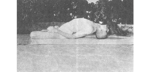 matsya.jpg