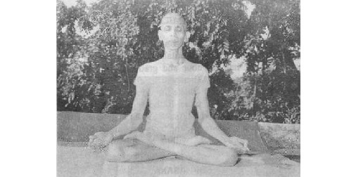 padma.JPG